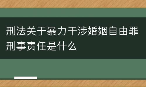 刑法关于暴力干涉婚姻自由罪刑事责任是什么