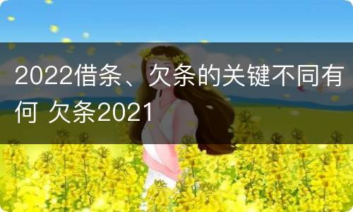 2022借条、欠条的关键不同有何 欠条2021