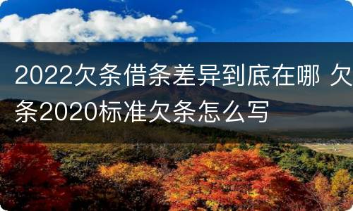 2022欠条借条差异到底在哪 欠条2020标准欠条怎么写