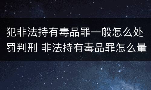 犯非法持有毒品罪一般怎么处罚判刑 非法持有毒品罪怎么量刑