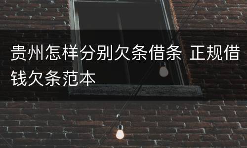 贵州怎样分别欠条借条 正规借钱欠条范本