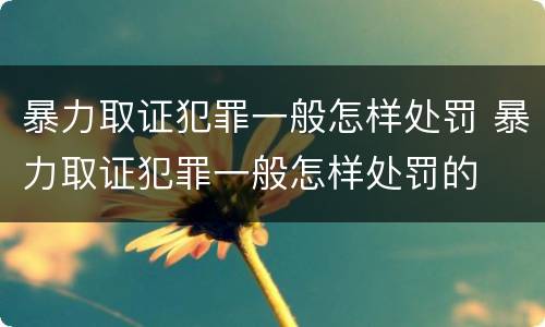 暴力取证犯罪一般怎样处罚 暴力取证犯罪一般怎样处罚的