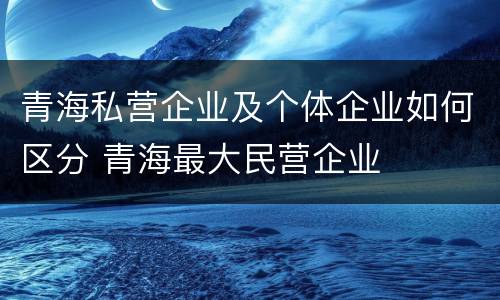 青海私营企业及个体企业如何区分 青海最大民营企业