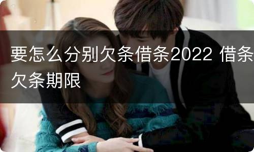 要怎么分别欠条借条2022 借条欠条期限