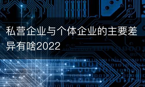 私营企业与个体企业的主要差异有啥2022