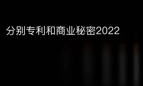 分别专利和商业秘密2022