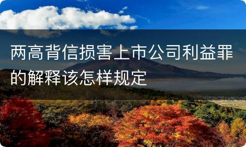 两高背信损害上市公司利益罪的解释该怎样规定