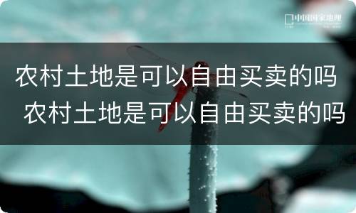 农村土地是可以自由买卖的吗 农村土地是可以自由买卖的吗怎么办