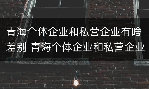 青海个体企业和私营企业有啥差别 青海个体企业和私营企业有啥差别吗