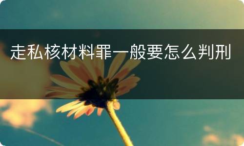 走私核材料罪一般要怎么判刑