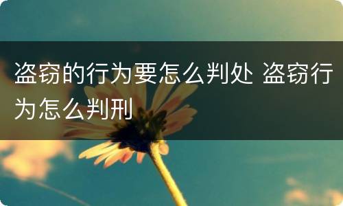 盗窃的行为要怎么判处 盗窃行为怎么判刑