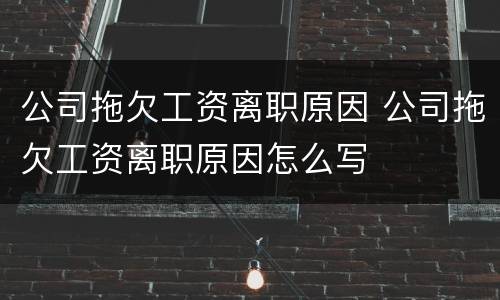 公司拖欠工资离职原因 公司拖欠工资离职原因怎么写