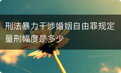 刑法暴力干涉婚姻自由罪规定量刑幅度是多少