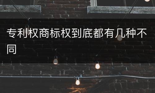专利权商标权到底都有几种不同
