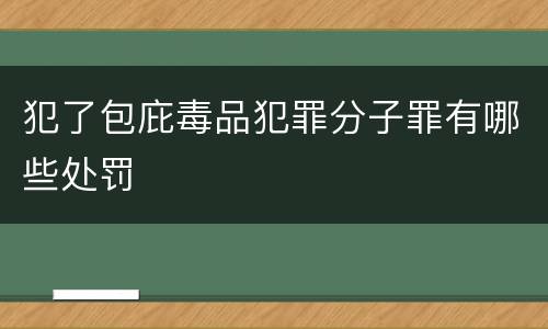 犯了包庇毒品犯罪分子罪有哪些处罚