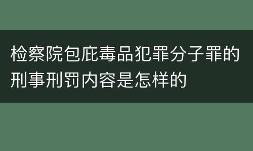 检察院包庇毒品犯罪分子罪的刑事刑罚内容是怎样的