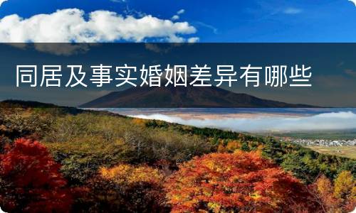 同居及事实婚姻差异有哪些