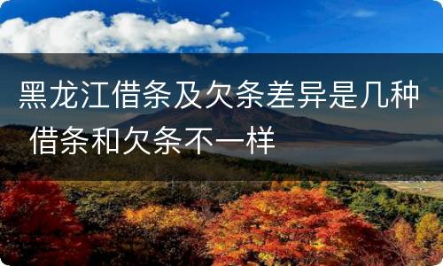 黑龙江借条及欠条差异是几种 借条和欠条不一样