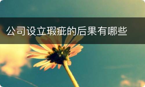 公司设立瑕疵的后果有哪些