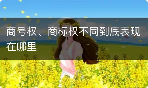商号权、商标权不同到底表现在哪里