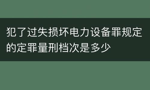 犯了过失损坏电力设备罪规定的定罪量刑档次是多少