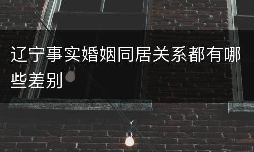 辽宁事实婚姻同居关系都有哪些差别