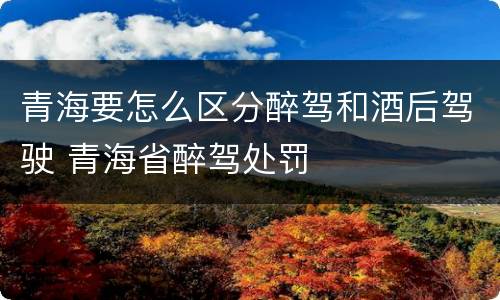 青海要怎么区分醉驾和酒后驾驶 青海省醉驾处罚