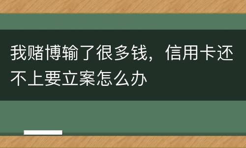 我赌博输了很多钱，信用卡还不上要立案怎么办