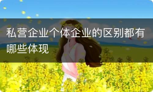 私营企业个体企业的区别都有哪些体现
