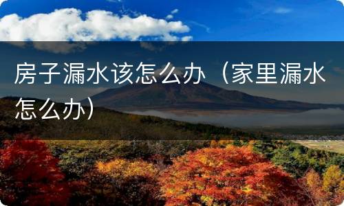 房子漏水该怎么办（家里漏水怎么办）