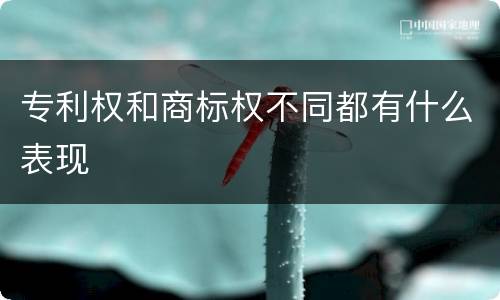 专利权和商标权不同都有什么表现