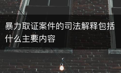 暴力取证案件的司法解释包括什么主要内容