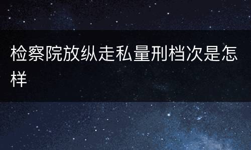 检察院放纵走私量刑档次是怎样