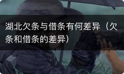 湖北欠条与借条有何差异（欠条和借条的差异）