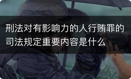 刑法对有影响力的人行贿罪的司法规定重要内容是什么
