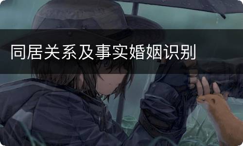 同居关系及事实婚姻识别