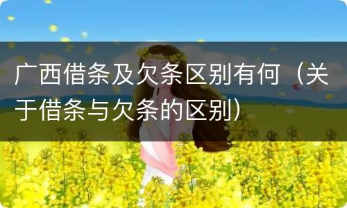 广西借条及欠条区别有何（关于借条与欠条的区别）