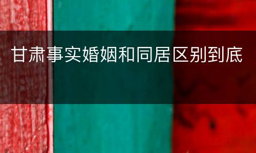 甘肃事实婚姻和同居区别到底