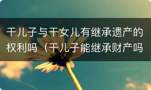干儿子与干女儿有继承遗产的权利吗（干儿子能继承财产吗）