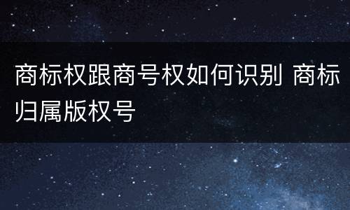 商标权跟商号权如何识别 商标归属版权号