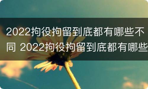 2022拘役拘留到底都有哪些不同 2022拘役拘留到底都有哪些不同呢
