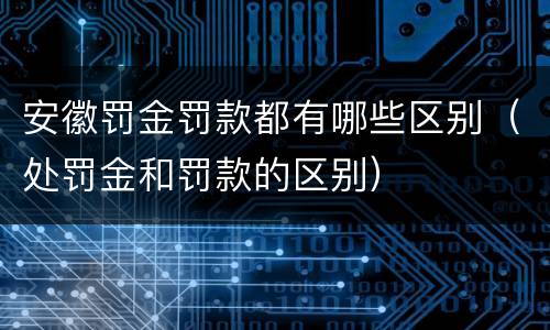 安徽罚金罚款都有哪些区别（处罚金和罚款的区别）