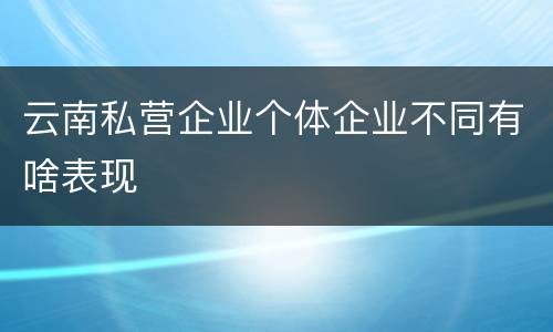 云南私营企业个体企业不同有啥表现