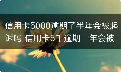 信用卡5000逾期了半年会被起诉吗 信用卡5千逾期一年会被起诉吗