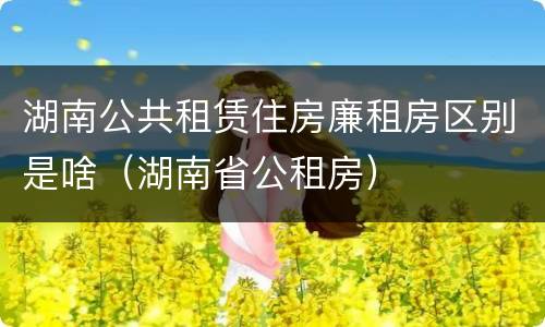 湖南公共租赁住房廉租房区别是啥（湖南省公租房）
