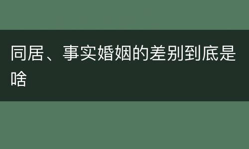 同居、事实婚姻的差别到底是啥