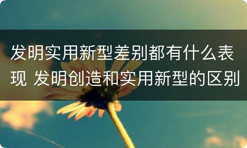 发明实用新型差别都有什么表现 发明创造和实用新型的区别
