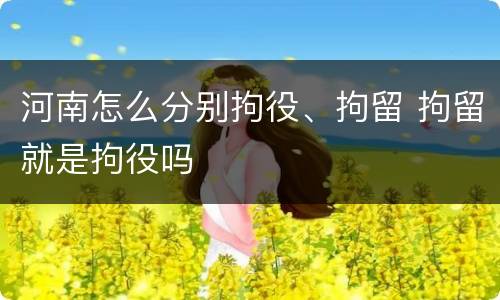 河南怎么分别拘役、拘留 拘留就是拘役吗