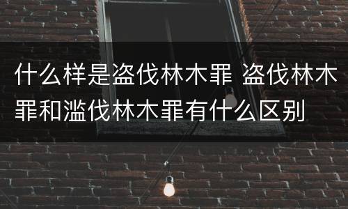 什么样是盗伐林木罪 盗伐林木罪和滥伐林木罪有什么区别