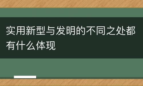 实用新型与发明的不同之处都有什么体现